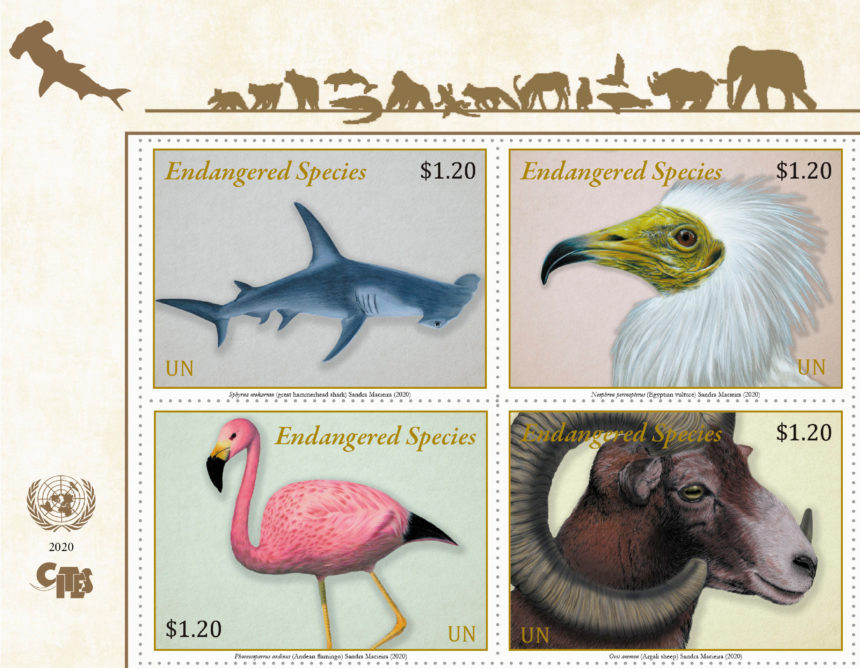 Endangered animals 2020 usa