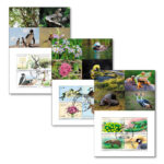 Especies amenazadas 2025: juego de tarjetas postales (canceladas)